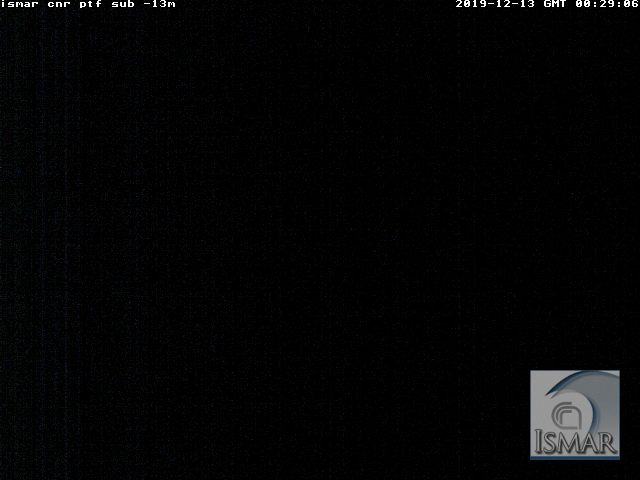 Webcam Subacquea Venezia Piattaforma Oceanografica
