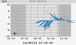 Wind Vector